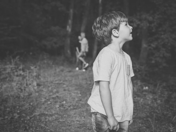 lei mai puni profesori de parenting