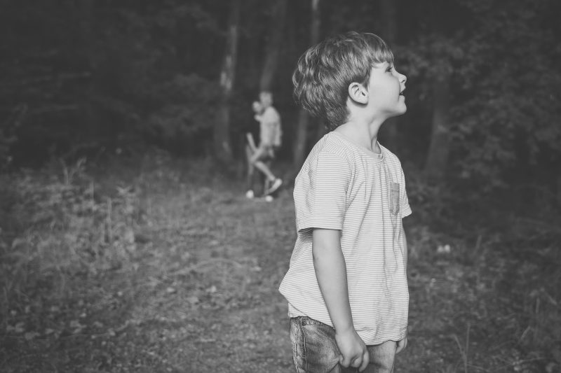 lei mai puni profesori de parenting